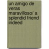 Un Amigo De Veras Maravilloso/ A Splendid Friend Indeed door Suzanne Bloom