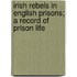 Irish Rebels In English Prisons; A Record Of Prison Life