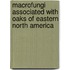 Macrofungi Associated with Oaks of Eastern North America