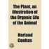 Plant, An Illustration Of The Organic Life Of The Animal