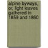 Alpine Byways, Or, Light Leaves Gathered In 1859 And 1860