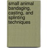 Small Animal Bandaging, Casting, And Splinting Techniques door Walter C. Renberg