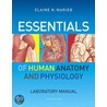 Essentials Of Human Anatomy & Physiology Laboratory Manual door Elaine Nicpon Marieb