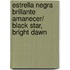 Estrella Negra Brillante Amanecer/ Black Star, Bright Dawn