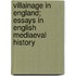 Villainage In England; Essays In English Mediaeval History
