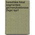 Hereditäre Fokal Segmentale Glomerulosklerose (fsgs) Typ1