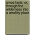 Amos Fayle; Or, Through The Wilderness Into A Wealthy Place