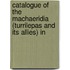 Catalogue of the Machaeridia (Turrilepas and Its Allies) in
