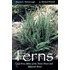 Ferns And Fern Allies Of The Trans-Pecos And Adjacent Areas
