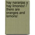 Hay naranjas y hay limones! / There are Oranges and Lemons!