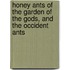 Honey Ants of the Garden of the Gods, and the Occident Ants