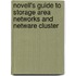 Novell's Guide To Storage Area Networks And Netware Cluster