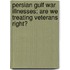 Persian Gulf War Illnesses; Are We Treating Veterans Right?