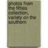 Photos From The Fifties Collection, Variety On The Southern