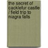 The Secret of Cacklefur Castle / Field Trip to Niagra Falls