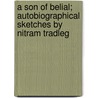 A Son Of Belial; Autobiographical Sketches By Nitram Tradleg by Edmund Martin Geldart