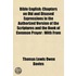 Bible English; Chapters on Old and Disused Expressions in th