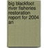 Big Blackfoot River Fisheries Restoration Report for 2004 an