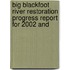 Big Blackfoot River Restoration Progress Report for 2002 and