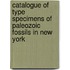 Catalogue of Type Specimens of Paleozoic Fossils in New York