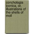Conchologia Iconica, Or, Illustrations of the Shells of Moll