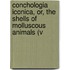 Conchologia Iconica, Or, the Shells of Molluscous Animals (V