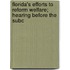 Florida's Efforts to Reform Welfare; Hearing Before the Subc