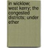 In Wicklow; West Kerry; The Congested Districts; Under Ether