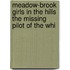 Meadow-Brook Girls in the Hills the Missing Pilot of the Whi