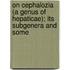 On Cephalozia (a Genus of Hepaticae); Its Subgenera and Some