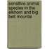 Sensitive Animal Species in the Elkhorn and Big Belt Mountai