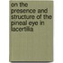 On The Presence And Structure Of The Pineal Eye In Lacertilia