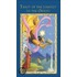 Tarot of the Journey to the Orient [With Instruction Booklet]