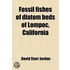 Fossil Fishes Of Diatom Beds Of Lompoc, California (Volume 42)