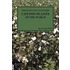 The Wild And Cultivated Cotton Plants Of The World (Paperback)
