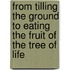From Tilling The Ground To Eating The Fruit Of The Tree Of Life