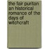 The Fair Puritan An Historical Romance Of The Days Of Witchcraft