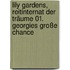 Lily Gardens, Reitinternat der Träume 01. Georgies große Chance