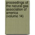 Proceedings Of The Natural Gas Association Of America (Volume 14)