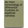 de Rham Cohomology of Differential Modules on Algebraic Varieties door Yves Andre