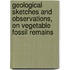 Geological Sketches And Observations, On Vegetable Fossil Remains