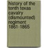 History Of The Tenth Texas Cavalry (Dismounted) Regiment 1861-1865