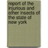 Report Of The Injurious And Other Insects Of The State Of New York
