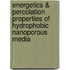 Energetics & Percolation Properties Of Hydrophobic Nanoporous Media