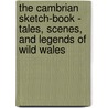 The Cambrian Sketch-Book - Tales, Scenes, And Legends Of Wild Wales by R. Rice Davies