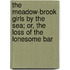The Meadow-Brook Girls By The Sea; Or, The Loss Of The Lonesome Bar