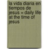 La Vida Diaria en Tiempos de Jesus = Daily Life at the Time of Jesus door Miriam Feinberg Vamosh