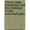China's Large Enterprises and the Challenge of Late Industrialization door Dylan Sutherland
