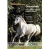 Eckdaten Pferd Heft 3: Gesundheit. Bestandsbezogener Infektionsschutz door Onbekend