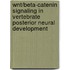 Wnt/Beta-Catenin Signaling In Vertebrate Posterior Neural Development
